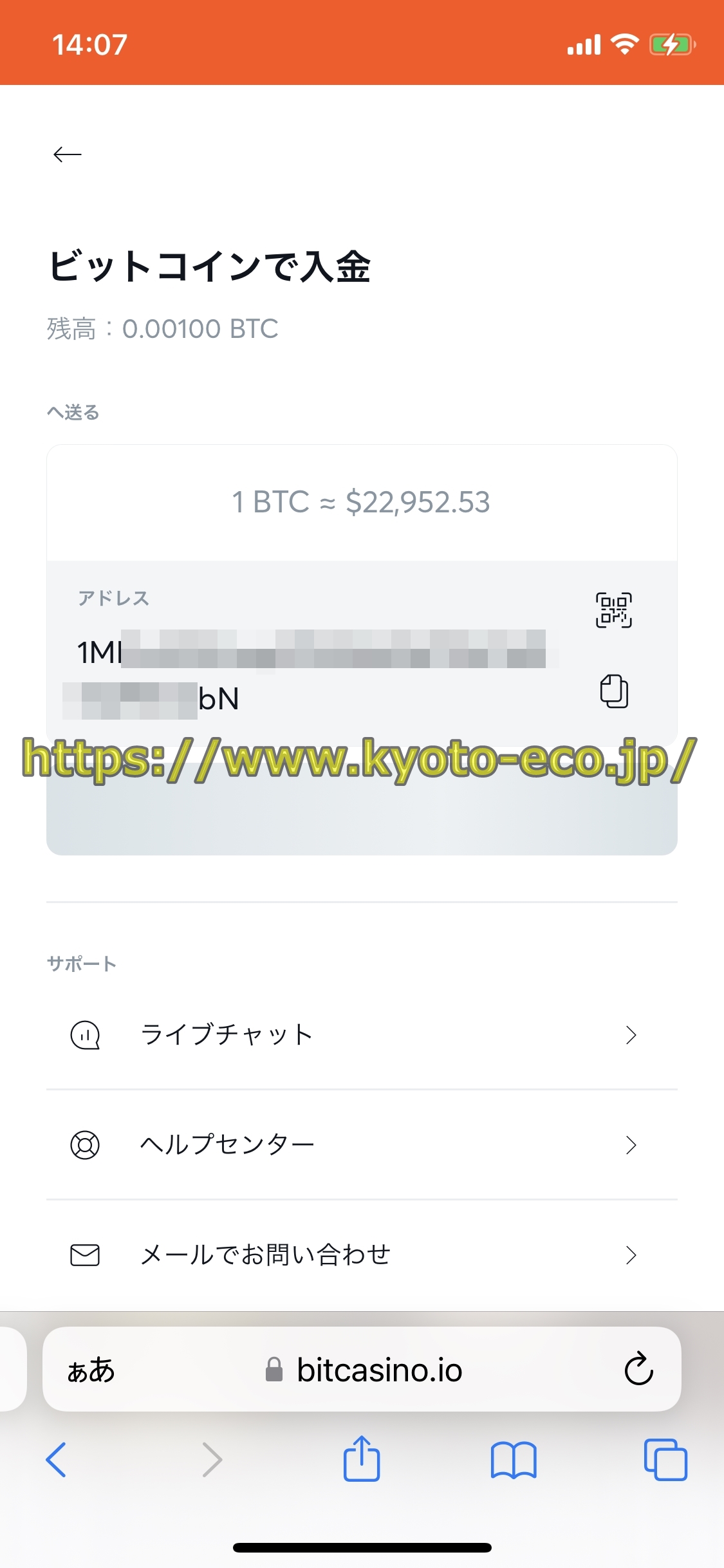 ビットカジノ