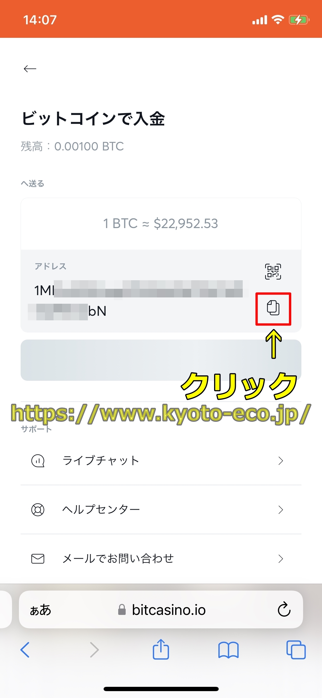 ビットカジノ